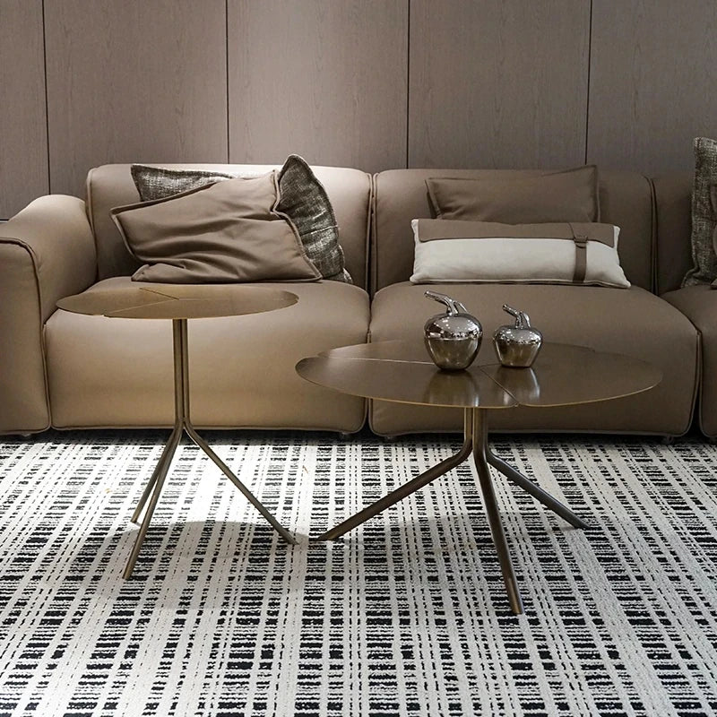 Stylish Stainless Steel Coffee Table - Modern Design with Elegant Finish for Living Room Decor hmsf-4665
