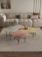 Stylish Sintered Stone Stainless Coffee Table Set – Modern Design with Artful Touch for Living Room Decor hmsf-4667