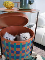 Stylish PU Leather Side Table with Stainless Steel Accents and Black Walnut Wood Base – Modern Decorative Accent for Living Room and Bedroom hrn-5267