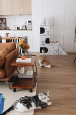 Elegant Metal and Oak Serving Cart with Copper Accents - Perfect for Entertaining hrn-5272