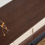 Mid-Century Modern TV Stand with Red Oak Multi-Layer Board - Stylish Storage Solution hsmjx-4169