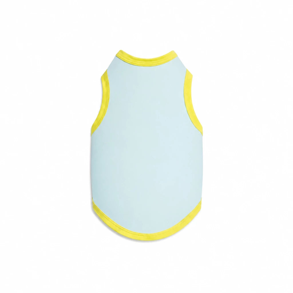 Lightweight Dog Vest for Small Dogs