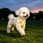 Lightweight Mesh Pet Shirt