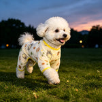 Lightweight Mesh Pet Shirt