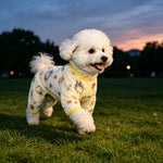 Lightweight Mesh Pet Shirt