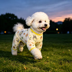 Lightweight Mesh Pet Shirt