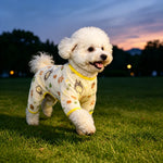 Lightweight Mesh Pet Shirt