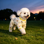 Lightweight Mesh Pet Shirt