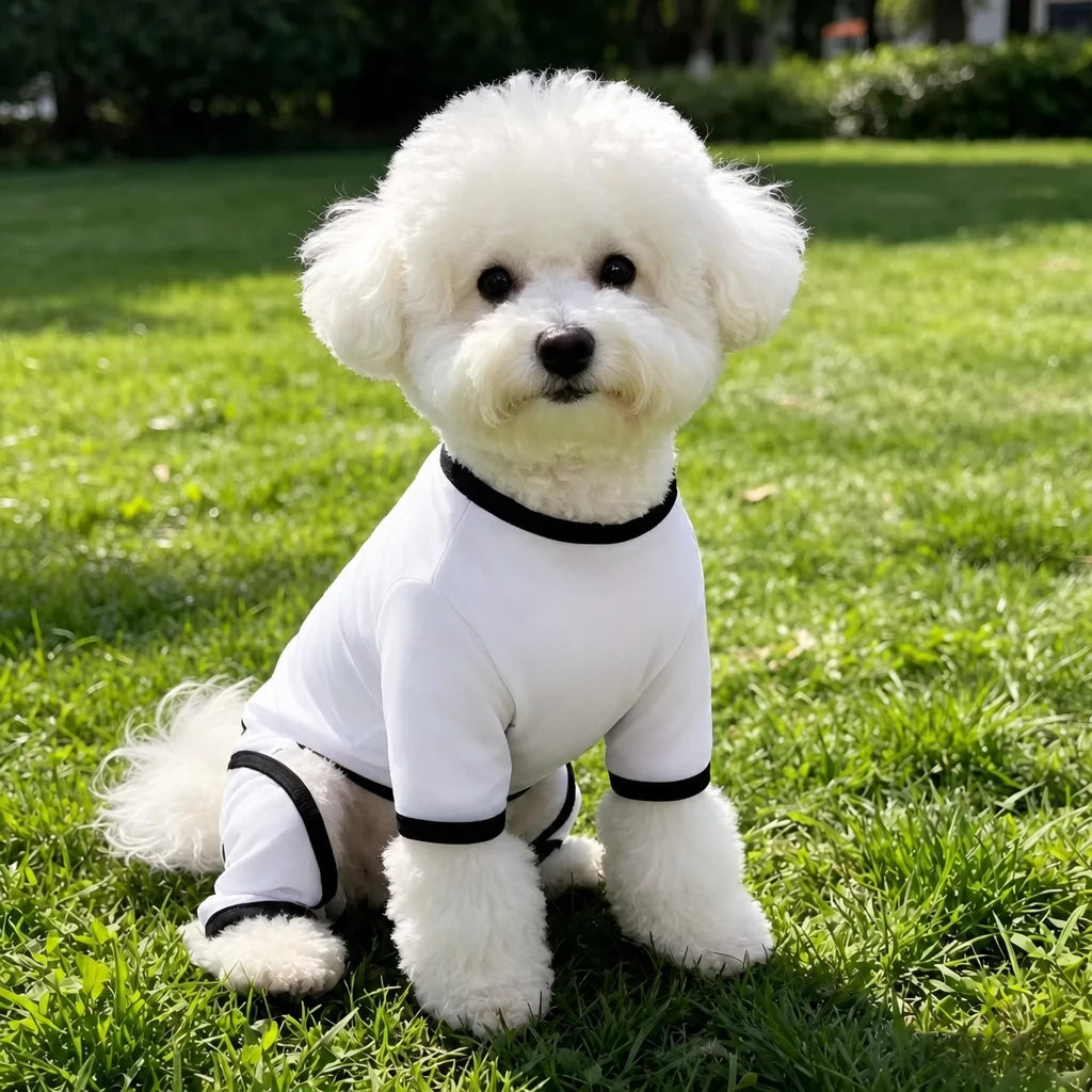 Lightweight Mesh Pet Shirt