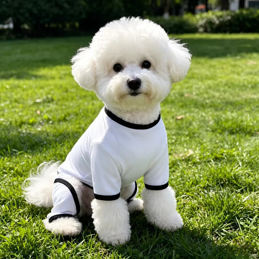 Lightweight Mesh Pet Shirt