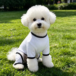 Lightweight Mesh Pet Shirt