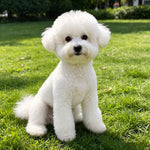 Lightweight Mesh Pet Shirt