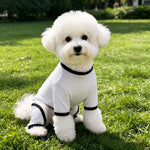 Lightweight Mesh Pet Shirt