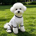 Lightweight Mesh Pet Shirt