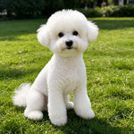 Lightweight Mesh Pet Shirt