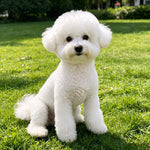 Lightweight Mesh Pet Shirt