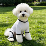 Lightweight Mesh Pet Shirt
