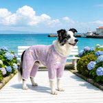 Four-Leg Dog Shirt with Cartoon Print