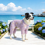 Four-Leg Dog Shirt with Cartoon Print