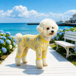Four-Leg Dog Shirt with Cartoon Print