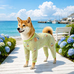 Four-Leg Dog Shirt with Cartoon Print