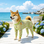 Four-Leg Dog Shirt with Cartoon Print
