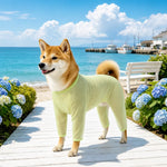 Four-Leg Dog Shirt with Cartoon Print