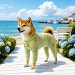 Four-Leg Dog Shirt with Cartoon Print