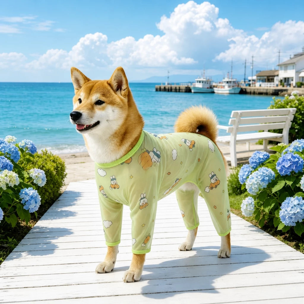 Four-Leg Dog Shirt with Cartoon Print