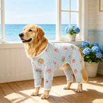 Four-Leg Dog Shirt with Cartoon Print