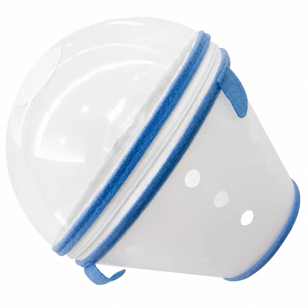 Plastic Recovery Cone for Small Dogs