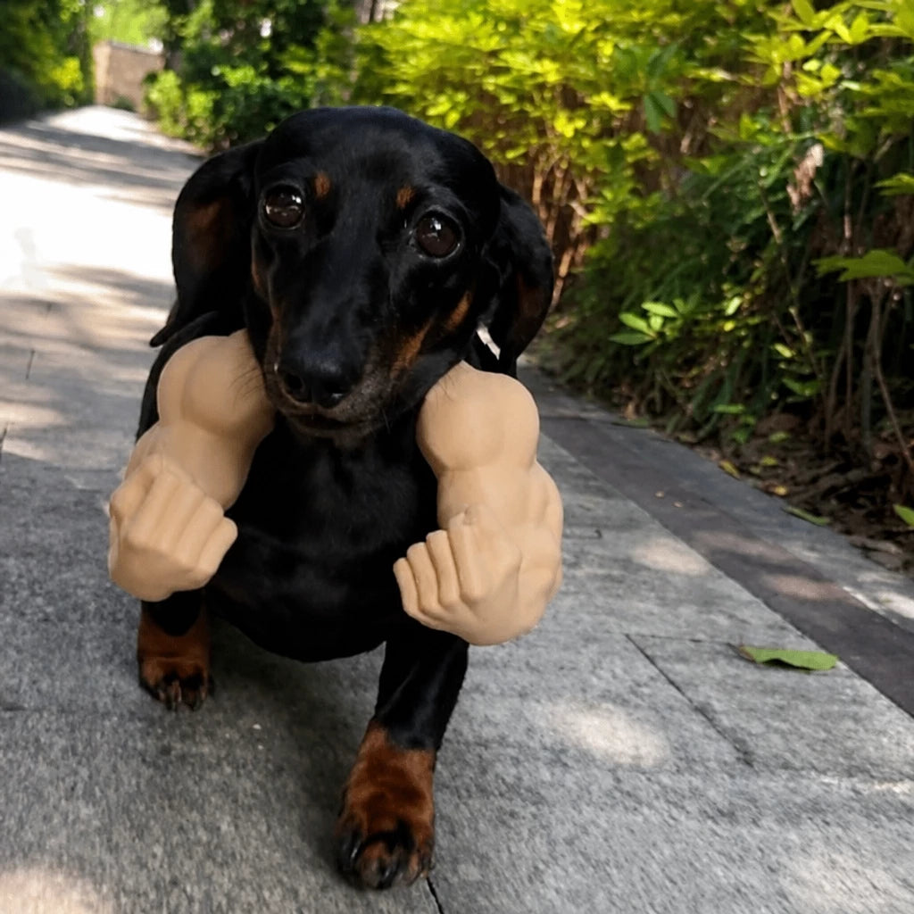 3D-Printed Muscular Arm Pet Neck Accessory