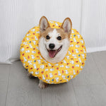 Soft Recovery Cone Collar for Dogs