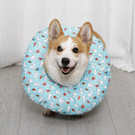 Soft Recovery Cone Collar for Dogs