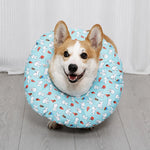 Soft Recovery Cone Collar for Dogs