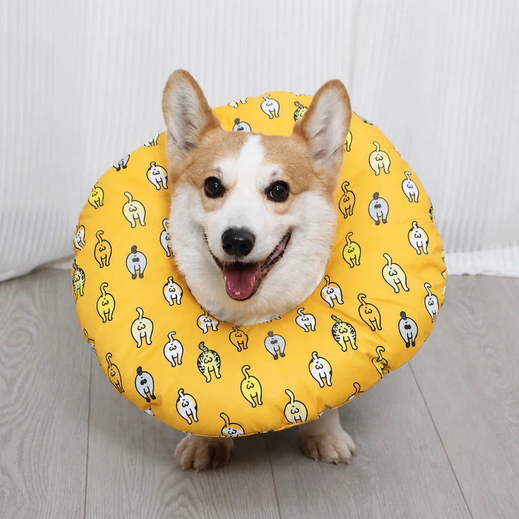 Soft Recovery Cone Collar for Dogs