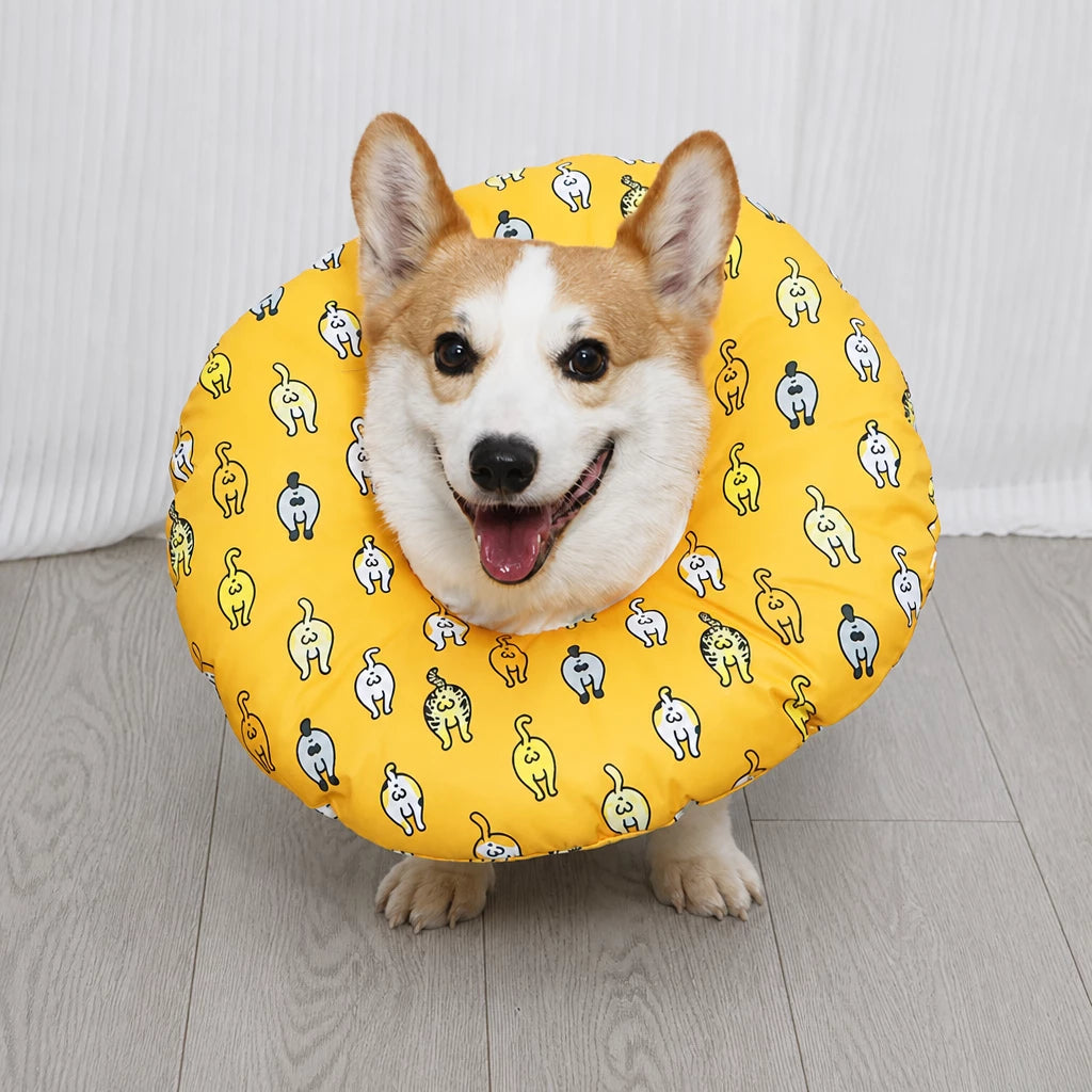 Soft Recovery Cone Collar for Dogs