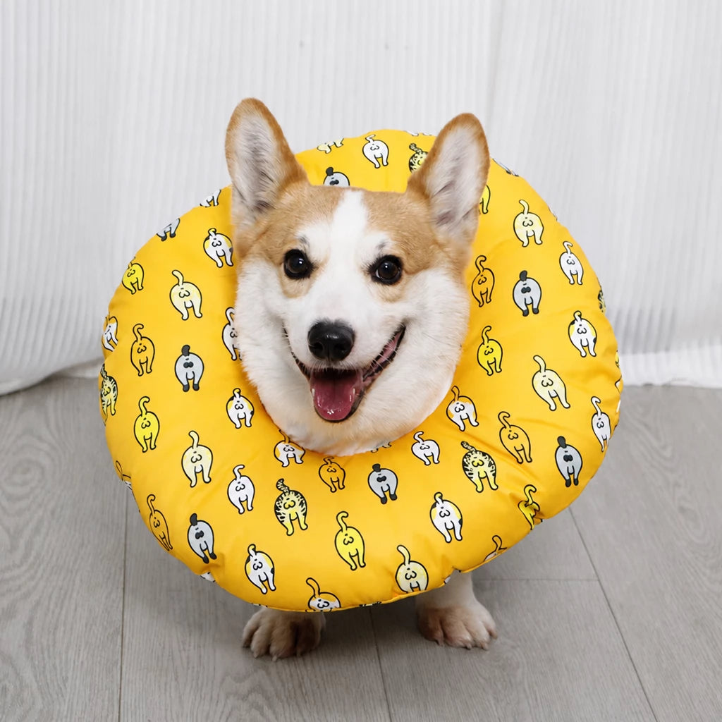 Soft Recovery Cone Collar for Dogs