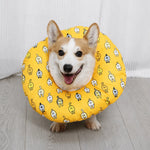 Soft Recovery Cone Collar for Dogs