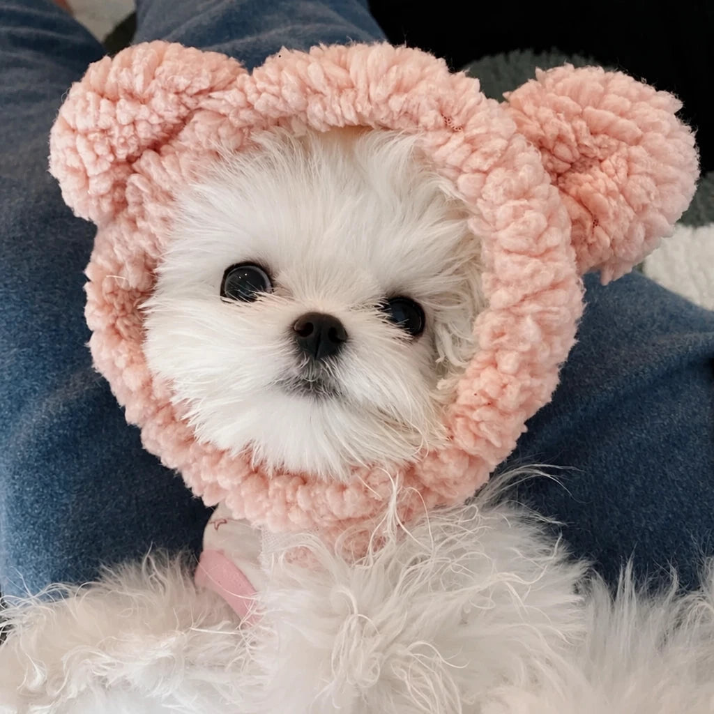 Character Costume Pet Hat for Cats and Dogs