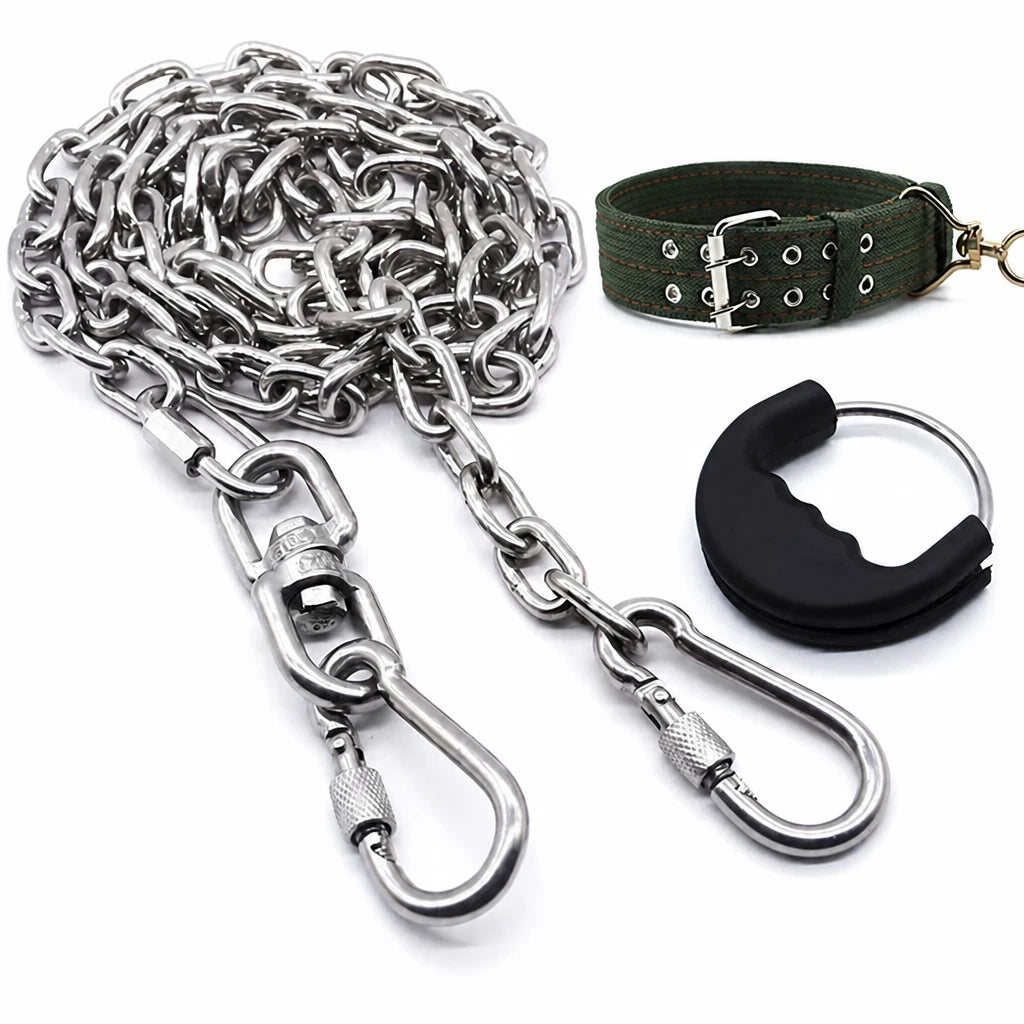304 Stainless Steel Chain Dog Leash, Collar & Handle Set