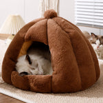 Enclosed Cat Bed with Removable, Washable Cover