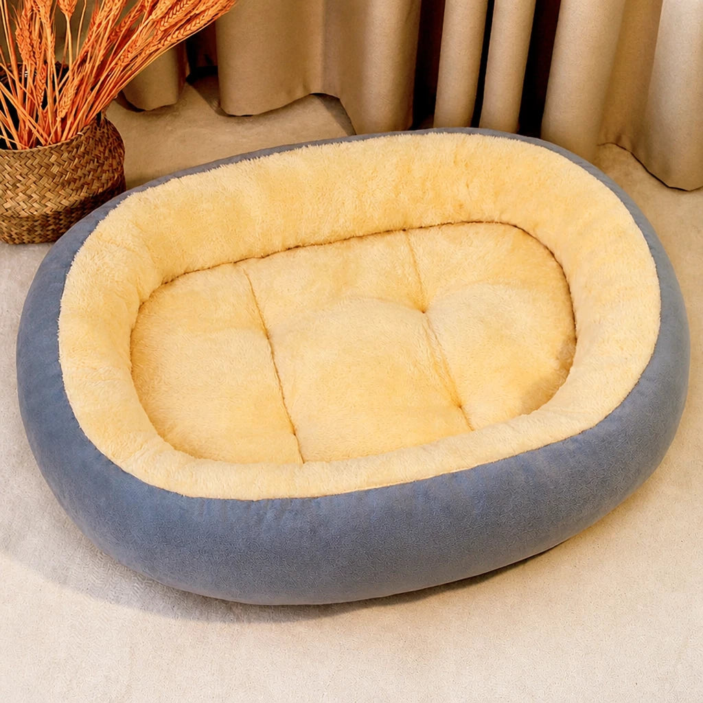 Dog & Cat Bed with Cushioned Base — All-Season & Winter Styles