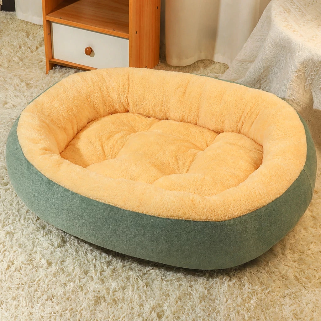 Dog & Cat Bed with Cushioned Base — All-Season & Winter Styles