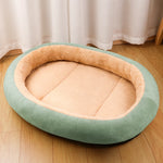Dog & Cat Bed with Cushioned Base — All-Season & Winter Styles