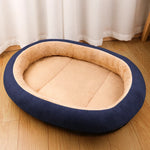 Dog & Cat Bed with Cushioned Base — All-Season & Winter Styles
