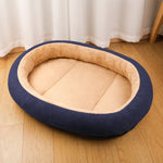 Dog & Cat Bed with Cushioned Base — All-Season & Winter Styles