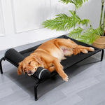 Elevated Dog Cot Bed with Removable Cover