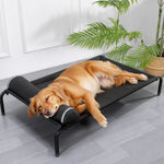 Elevated Dog Cot Bed with Removable Cover