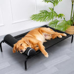 Elevated Dog Cot with Nylon Mesh and Iron Frame
